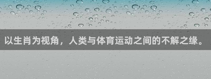 球速体育