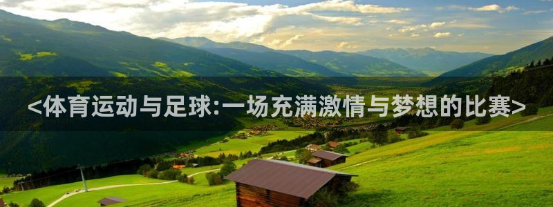 球速体育