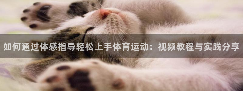 球速体育