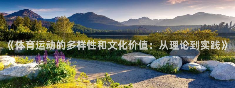 球速体育：《体育运动的多样性和文化价值：从理论到实践》
