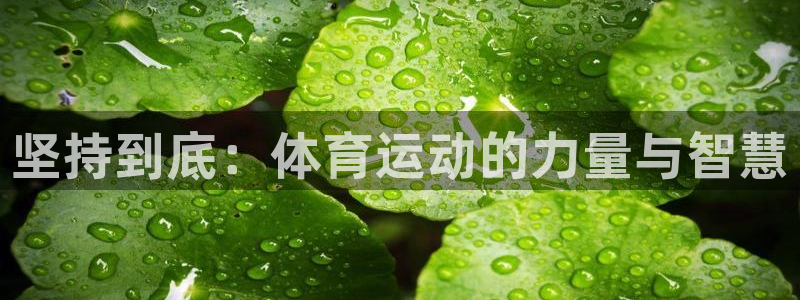 球速体育：坚持到底：体育运动的力量与智慧