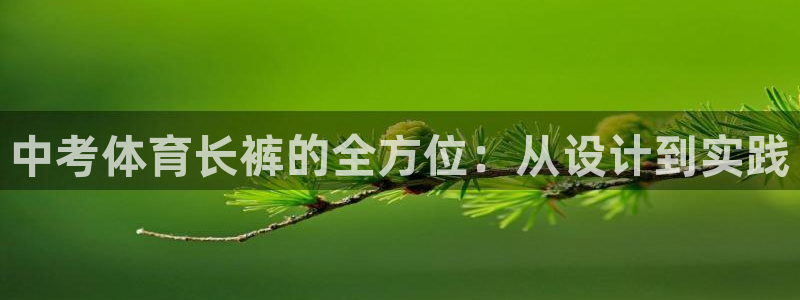 球速体育