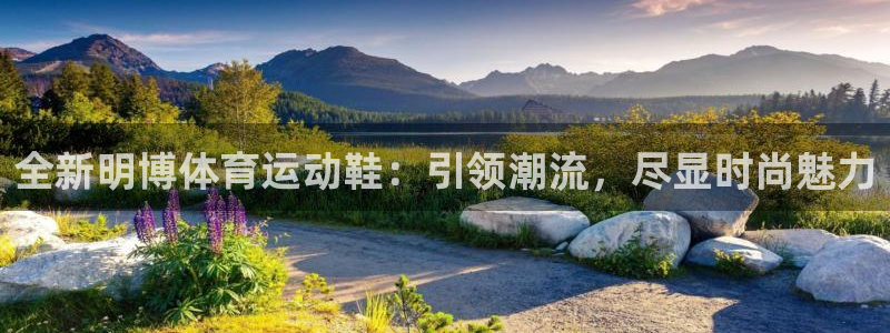 球速体育