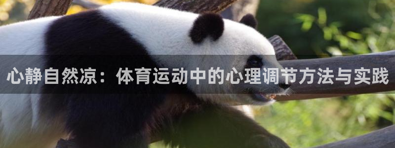 球速体育：心静自然凉：体育运动中的心理调节方法与实践