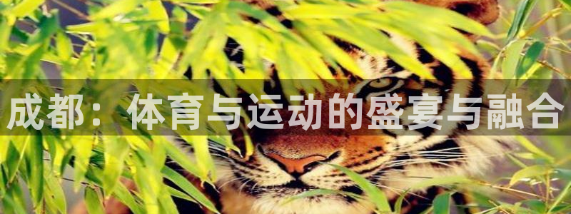 球速体育：成都：体育与运动的盛宴与融合
