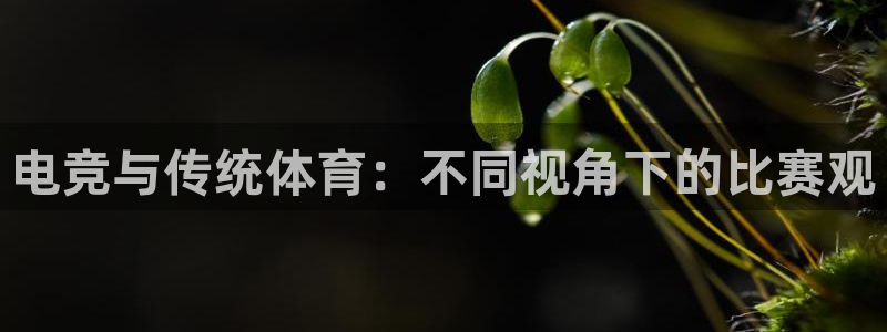 球速体育：电竞与传统体育：不同视角下的比赛观